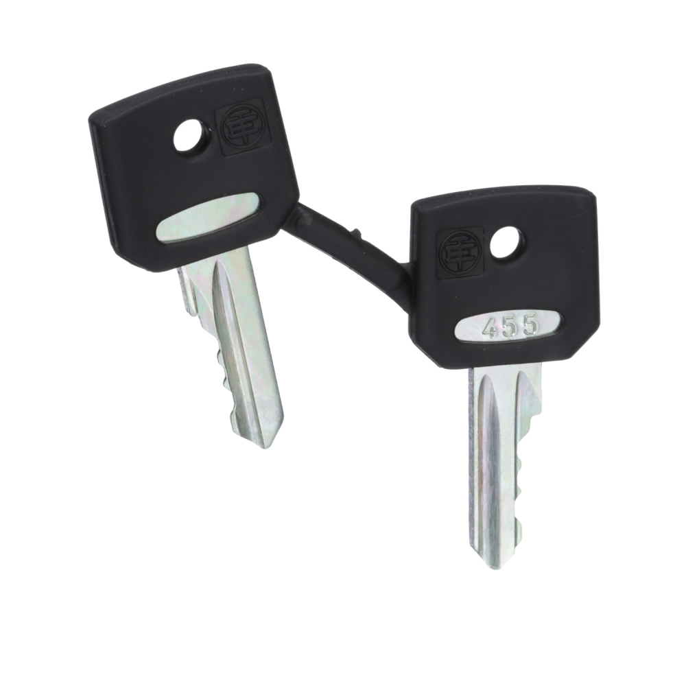 KOMPLET 2 KLUCZY ZAPASOWYCH - ZBG455 - SCHNEIDER ELECTRIC