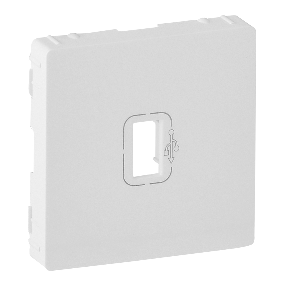 PLAKIETKA GNIAZDA USB BIAŁY VALENA LIFE - 754750 - LEGRAND