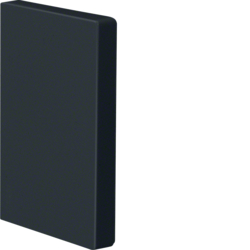 KOŃCÓWKA 65X100, CZARNY BRP - BRP6510069011 - HAGER