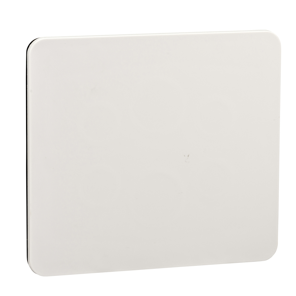 Płyta Kaedra do otworów 90x100 mm do elementów fi 16mm i fi 22mm. - 13138 - SCHNEIDER ELECTRIC