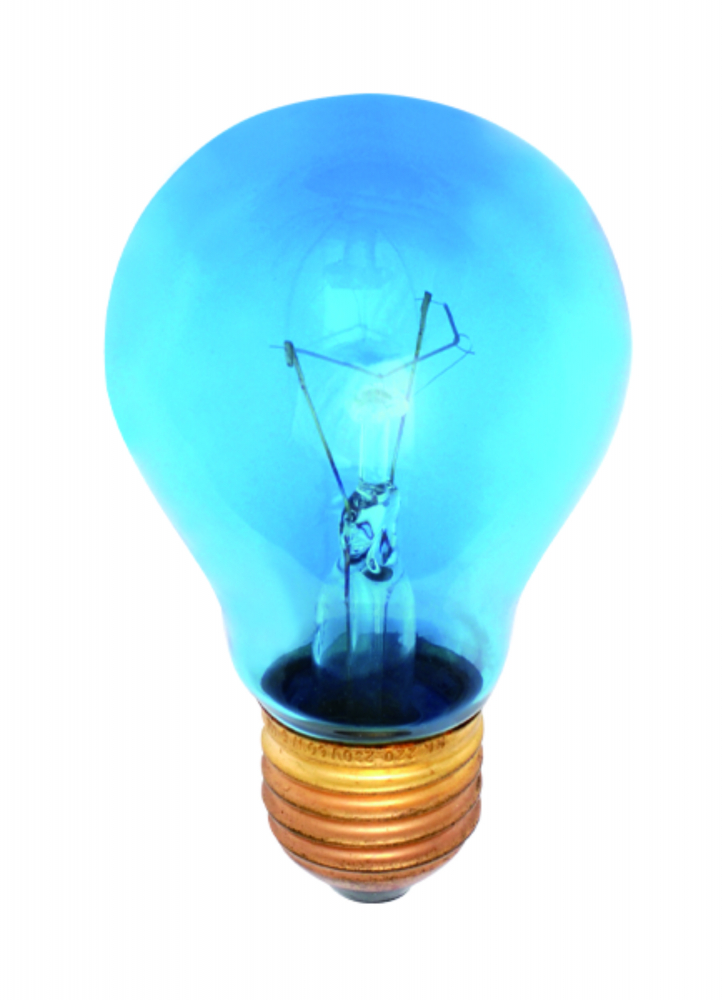 Żarówka światło dzienne do terrariów E27 100W 230V A60 szkło niebieskie 3000h - DZI-2152 - HELIOS żarówki