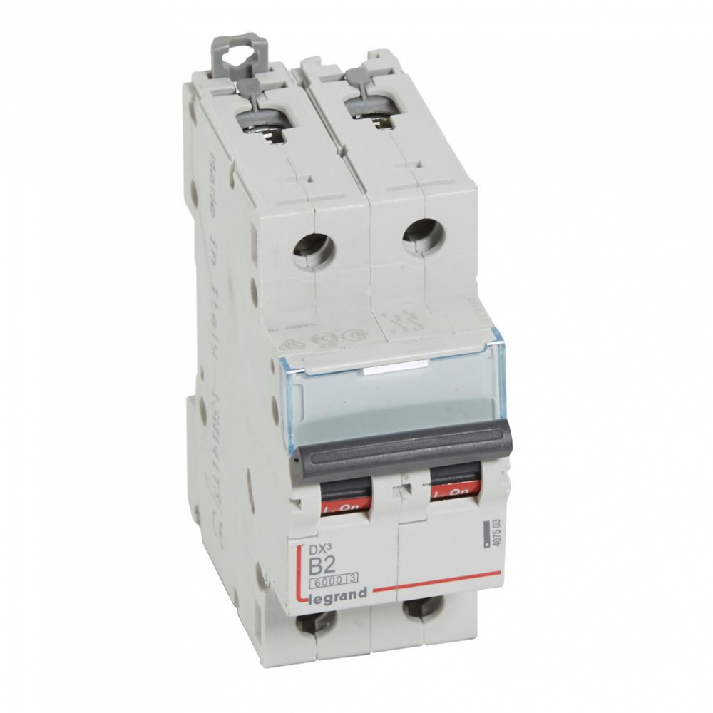 WYŁĄCZNIK NADPRĄDOWY B 2A 2-POLOWY SERII DX3 S 302 - 407503 - LEGRAND
