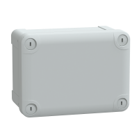 PUSZKA 164X121X87 ABS - NSYTBS16128 - SCHNEIDER ELECTRIC