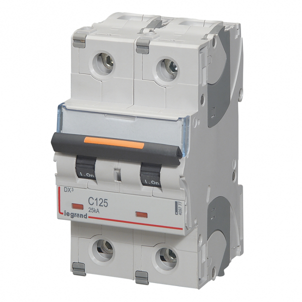 WYŁĄCZNIK NADPRĄDOWY C 125A 2-POLOWY 25KA DX3 S322 - 409777 - LEGRAND