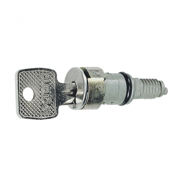 BĘBENEK ZAMKA + 2 KLUCZE NR 405 - 036822 - LEGRAND
