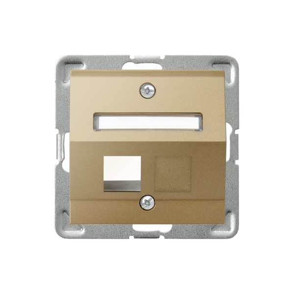 OBUDOWA GNIAZDA KOMPUTEROWEGO POJEDYNCZEGO SKOŚNA ZŁOTY METALIK IMPRESJA  - GPK-1YS/p/28 - OSPEL