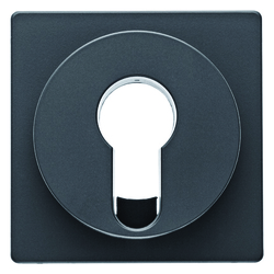 ELEMENT CENTRALNY DO ŁĄCZNIKA NA KLUCZ Q.1/Q.3 ANTRACYT AKSAMIT - 15076086 - HAGER