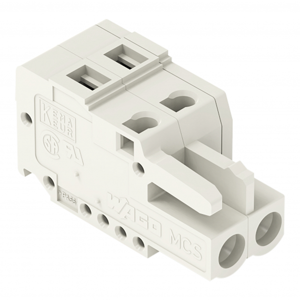 WTYK SPRĘŻYNOWY RASTER 5MM 2-TOROWY. - 721-102/026-000 - WAGO