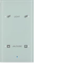 SENSOR SZKLANY DOTYKOWY PODWÓJNY KONFIGUROWALNY SZKŁO BIAŁE TS  - 75142930 - HAGER