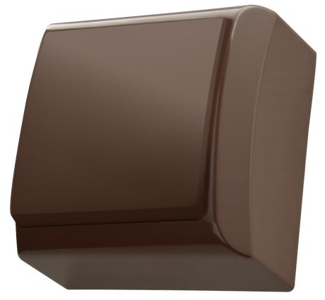 ŁĄCZNIK 1-BIEGUNOWY N/T IP20 BRĄZ BIS WNT-100P - ŁN-1B/24 - OSPEL