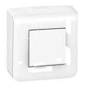 PUSZKA POJEDYNCZA NATYNKOWA 2 MODUŁY 30MM BIAŁY MOSAIC - 080280 - LEGRAND