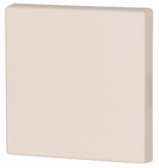 KLAWISZ POJEDYNCZY 55X55MM KREMOWY CWIZ-01/02. - 126043 - EATON