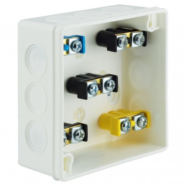 PUSZKA N/T 86X86X40MM IP55 DEKIEL NA 2 WKRĘTY Z OSŁONĄ Z ZACISKAMI BIAŁA VP 023-51. - 61.134 - ZAKŁAD PRODUKCYJNO - HANDLOWY "ELEKTRO-PLAST" SPÓŁKA Z OGRANICZONĄ ODPOWIEDZIALNOŚCIĄ