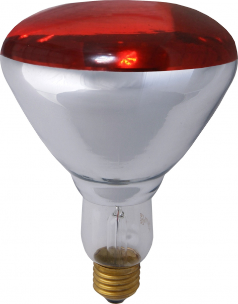 PROMIENNIK PODCZERWIENI IR2, 250W, 230V, E27, R125RB, 500 K, 5000 H. - PRO-2713 - HELIOS żarówki