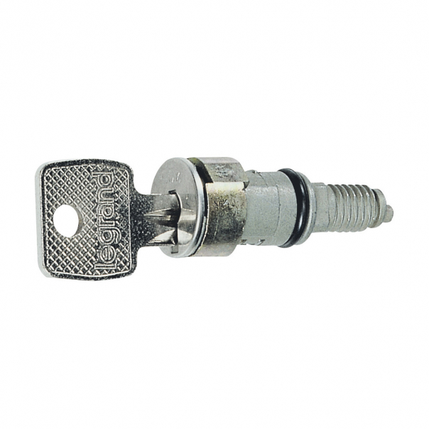 BĘBENEK ZAMKA + 2 KLUCZE NR 421 - 036823 - LEGRAND