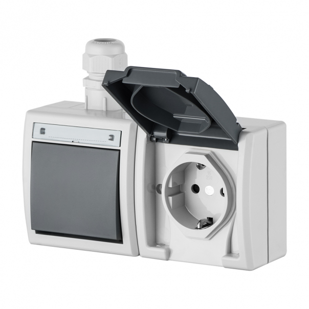 AQUANT gniazdo natynkowe podwójne z uziemieniem 2x2P+Z schuko poziom  IP 65 SZARY 7035/7043 - 1245-65 - ELEKTRO-PLAST NASIELSK
