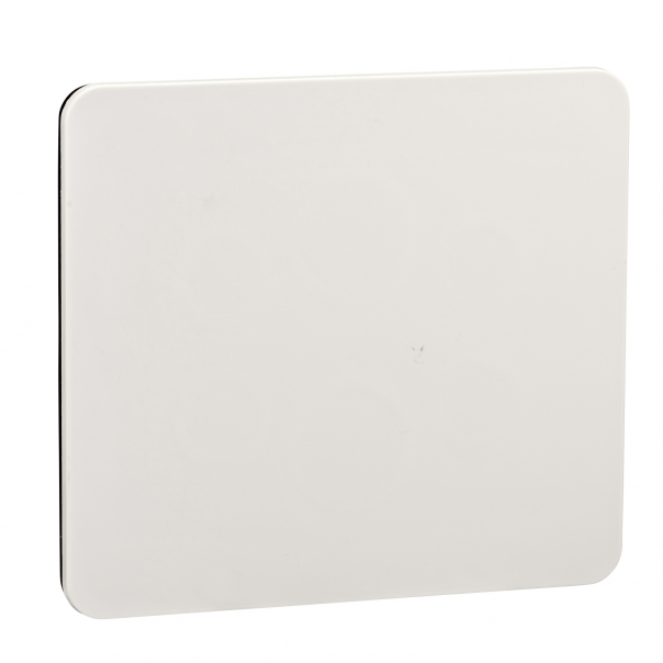 Płyta Kaedra do otworów 90x100 mm do elementów fi 16mm i fi 22mm. - 13138 - SCHNEIDER ELECTRIC