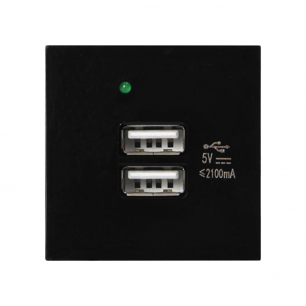 NOEN USB x 2, podwójny port modułowy 45x45mm z ładowarką USB, 2,1A 5V DC, czarny - OR-GM-9010/B/USBX2 - ORNO