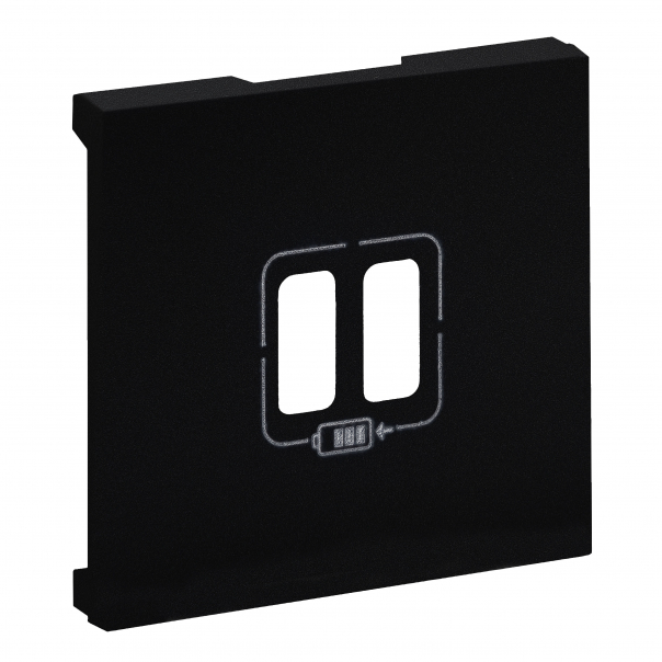 NS:CZ PLAK USB A+A 2.4 A CZARN - 864524 - LEGRAND