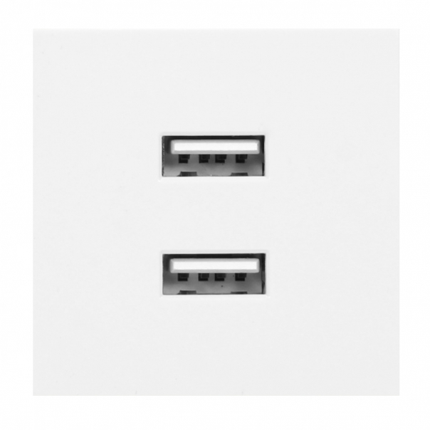 NOEN USB x 2, podwójny port modułowy 45x45mm z ładowarką USB, 2,1A 5V DC, biały - OR-GM-9010/W/USBX2 - ORNO