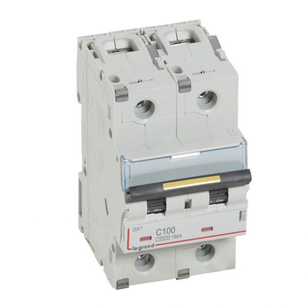 WYŁĄCZNIK NADPRĄDOWY C 100A 2-POLOWY CHARAKTERYSTYKA C SERII DX3 S 312 - 409229 - LEGRAND
