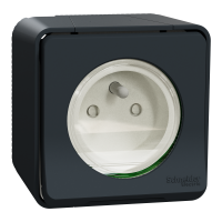Mureva, gniazdo 2P+PE, antracytowe - MUR35031 - SCHNEIDER ELECTRIC