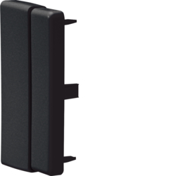 tehalit.LFF Końcówka 60x110mm, czarny - LFF6011069011 - HAGER