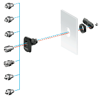 Spacial Wkładka dwuprętowa 5mm do S3D - NSYAEDLB5S3D - SCHNEIDER ELECTRIC