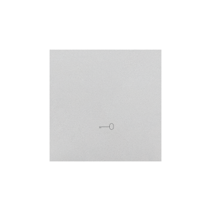 Klawisz pojedynczy z piktogramem &bdquo;klucz&rdquo; do łączników/przycisków; Aluminium mat Simon 55 - TKWK1/143 - KONTAKT SIMON