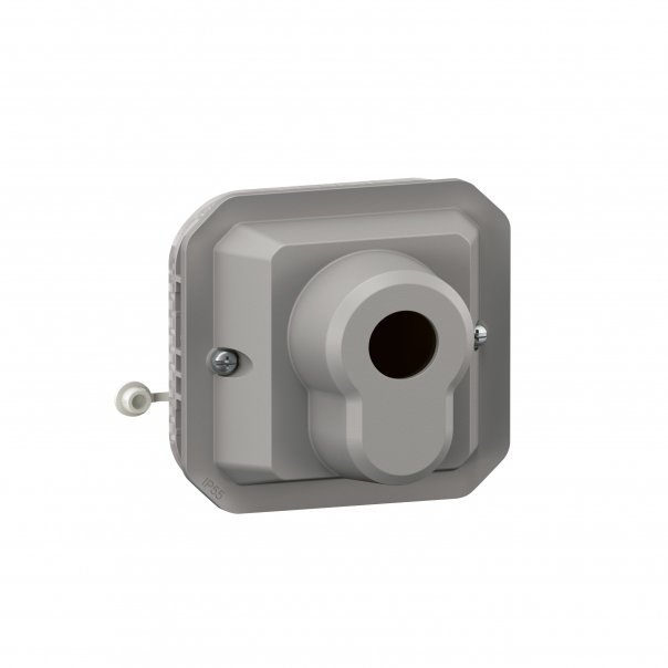 ŁĄCZNIK NA KLUCZ 2 POZYCJE WKŁADKA TYP EURO. MECH. 10AX-250V~ SZARY PLEXO - 069706L - LEGRAND