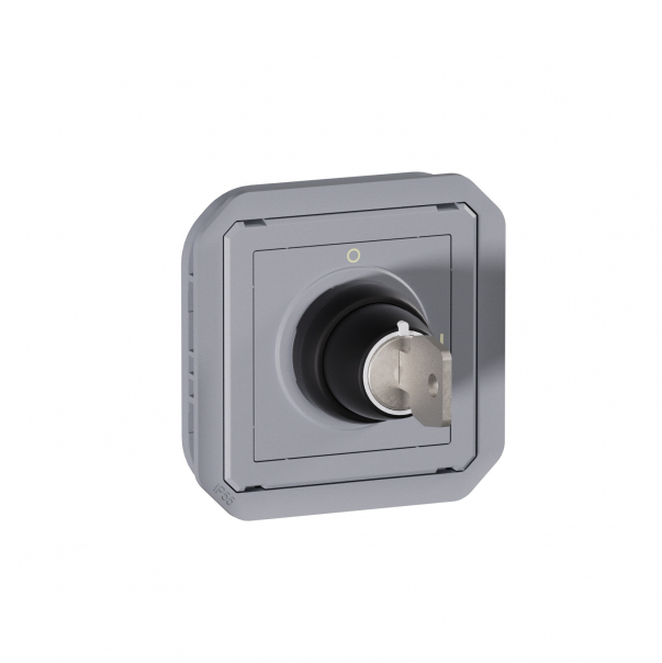 ŁĄCZNIK NA KLUCZ 2 POZYCJE MECHANIZM 10 AX - 250 V~ SZARY PLEXO - 069534L - LEGRAND