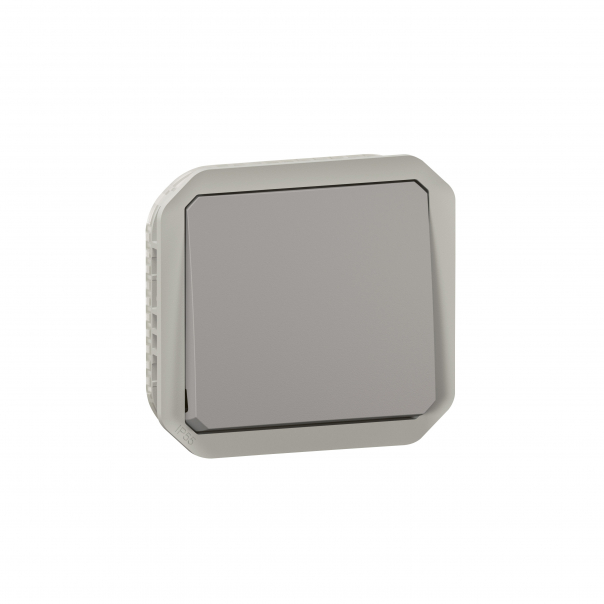 ŁĄCZNIK DWUBIEGUNOWY MECHANIZM 10 AX - 250V~ SZARY PLEXO - 069530L - LEGRAND