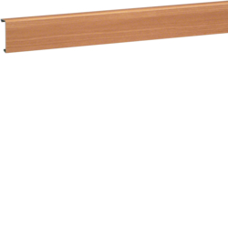POKRYWA 20X55 BUK SL - SL200552D2 - HAGER