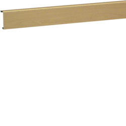 POKRYWA 20X55 KLON SL - SL200552D3 - HAGER
