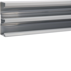 PODSTAWA 50X131MM ALU NATURALNIE UTLENIONA GBA - GBA501311ALU - HAGER