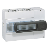 ROZŁĄCZNIK 160A 4-POLOWY FRONTOWY DPX-IS 250 - 026606 - LEGRAND