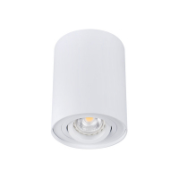 OPRAWA SUFITOWA PUNKTOWA N/T IP20 GU10  BIAŁY BORD DLP-50-W - 22551 - KANLUX