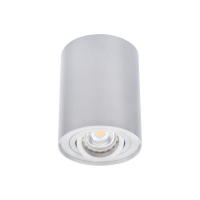 OPRAWA SUFITOWA PUNKTOWA N/T IP20 GU10 25W ALUMINIUM BORD DLP-50-AL - 22550 - KANLUX