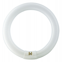 ŚWIETLÓWKA KOŁOWA G10Q 40W/830 CIEPŁO-BIAŁA  - 8711500284761 - Philips